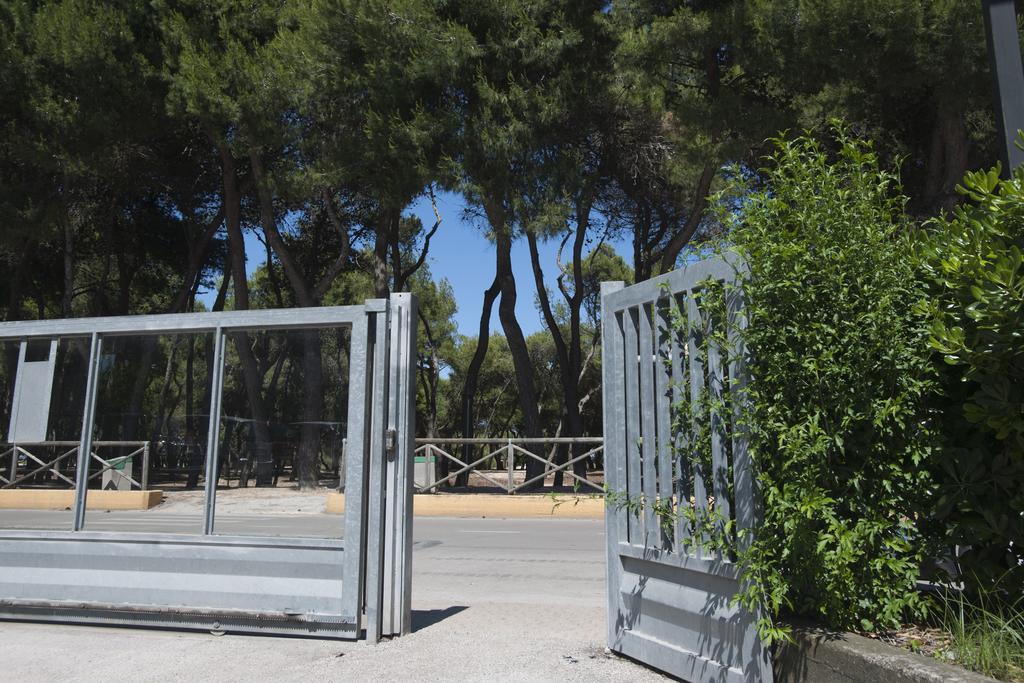Casavacanze Castelli Di Sabbia ปอร์โต ซันเตลปีดิโอ ห้อง รูปภาพ
